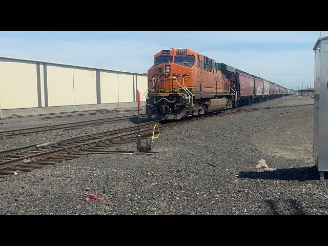 BNSF trains departing Yakima + traveling to Washington/Oregon (June 2024)