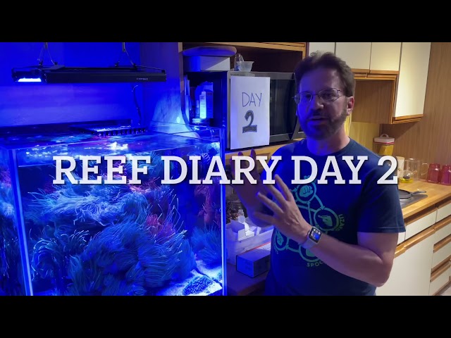Reef Diary: Day 2