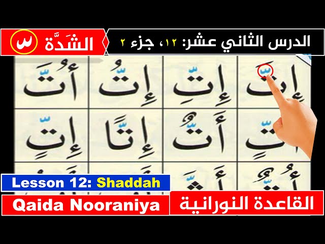 Qaida Nooraniyah lesson 12 Shadda | Shaddah in Arabic | Learn Quran | Basic Arabic | Learn Arabic