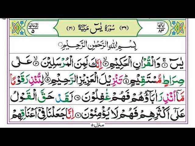 Surah Yaseen | Yasin | Ep 325 | Daily Quran Tilawat Surah Yasin Surah Rahman Surah yasin yaseen