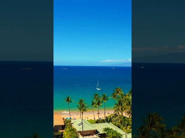 Hawaiian vibes 🌺 #4kvideo #aroundtheworld #relaxation #travellover #relaxing #hawaii #honolulu