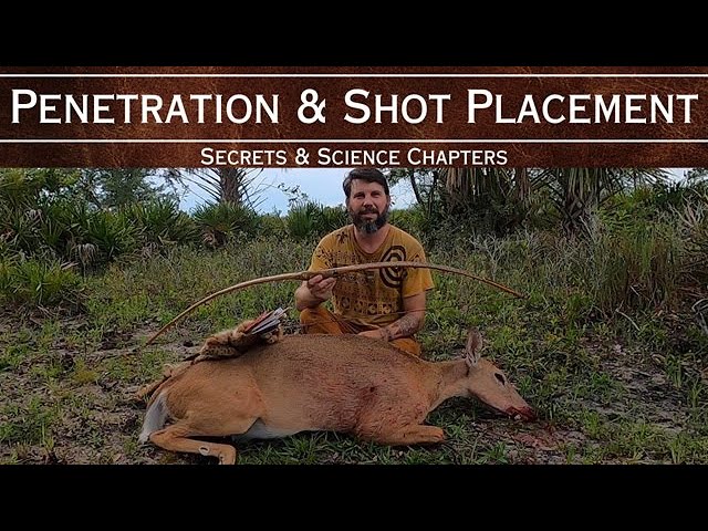 Shot Placement & Penetration Explained