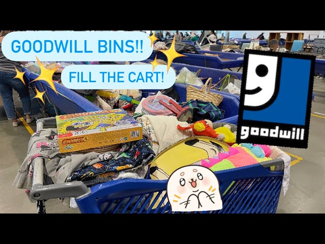 Let’s GO To Goodwill Bins!! Breakables, Home Decor, Handbags & More!! Thrift With Me! +HAUL!