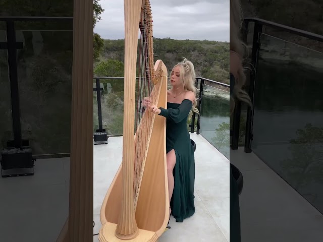 harp improv 🎵🤍 #shorts #harpist #musician #atx #austin #wedding #atxmusic #harp #austintx