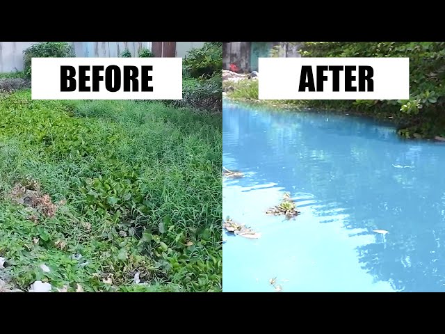 SHOCKING 10 Tons Of Weed Cleaning, Cleaning For Free | Volunteer Cleaning