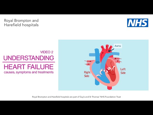 Video 2 | Understanding heart failure