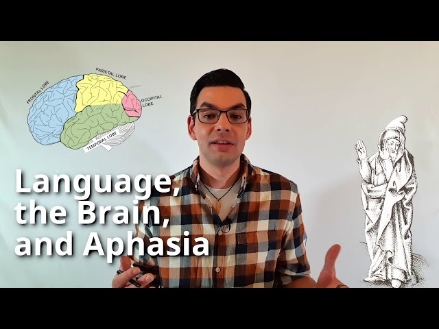 Week 9.1: Language, the Brain, and Aphasia