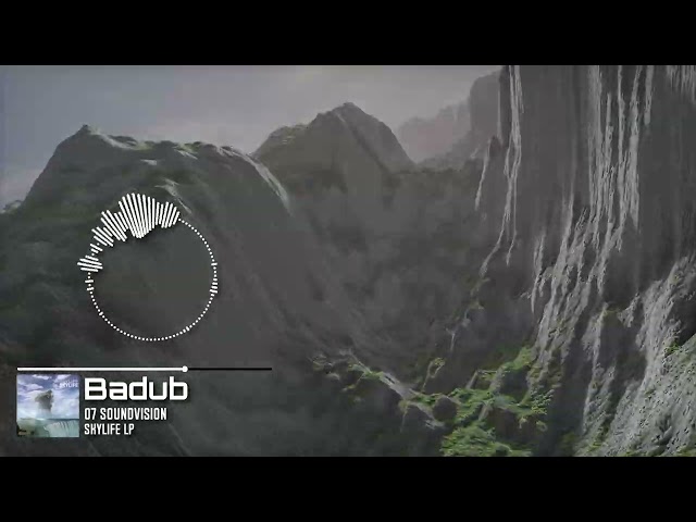 Badub - 07 Soundvision - Skylife LP