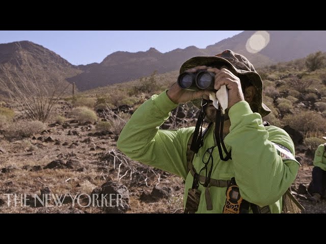 2021 SXSW-Winning Short: "Águilas" | The New Yorker Documentary