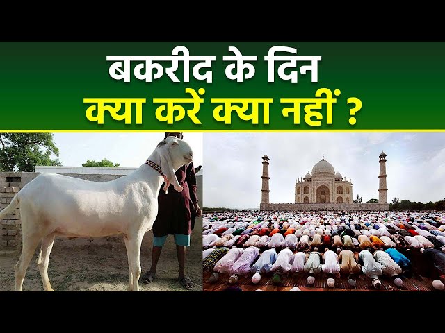 Eid Ul Adha 2024: बकरीद के दिन क्या करना चाहिए | Bakrid Ke Din Kya Karna Chahiye Kya Nahi
