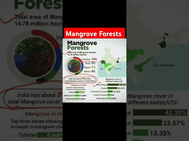 Mangrove Forests 🌿 | #shorts #allexam #gk #maps #geography