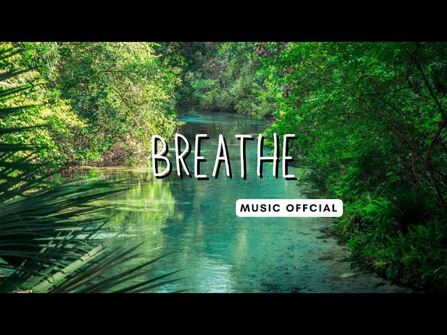 Breathe - Meditation Healing Music Official