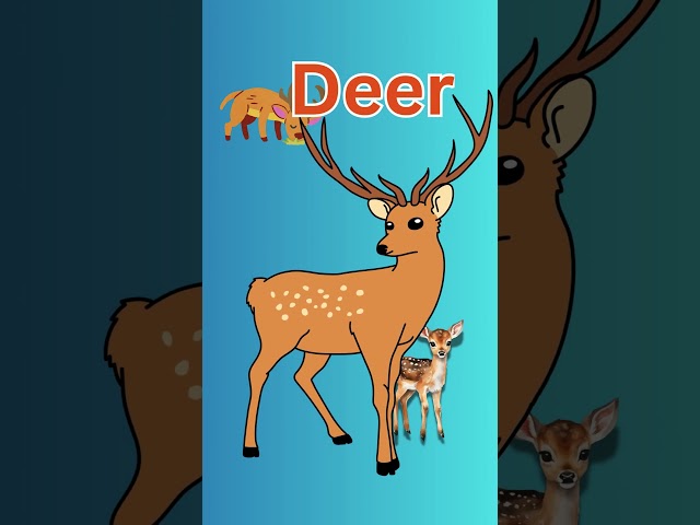 Learn Animals name |Kids Video| #animalsname #learning #kids