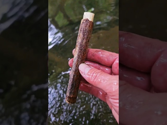 Making a bushcraft match tube with natural materials