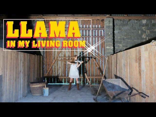 AronChupa, Little Sis Nora - Llama In My Living Room | Violin Music Video| Joanna Haltman