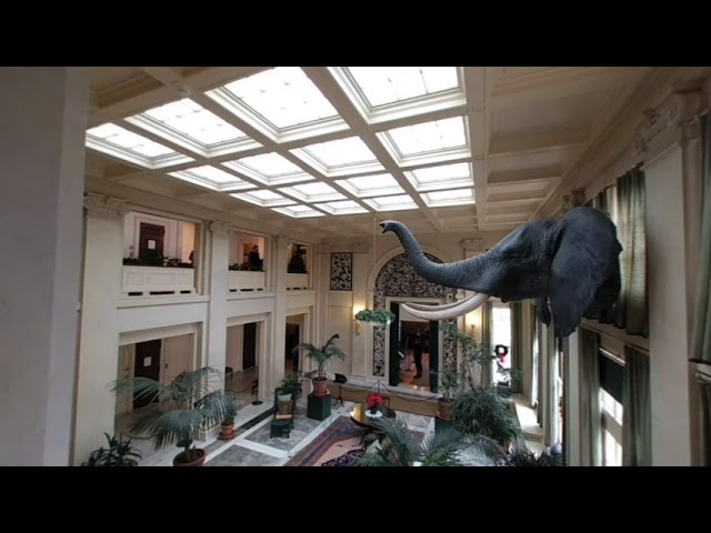VR180 3D: George Eastman Museum in Rochester NY
