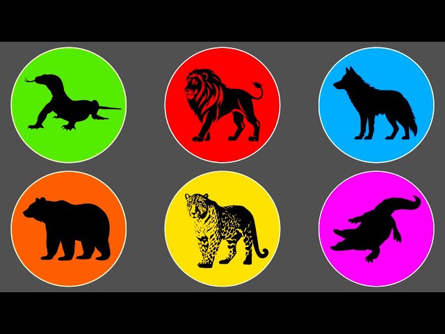 Carnivores: Lion, Jaguar, Komodo Dragon, Grizzly Bear, Wolf and Alligator. ME101