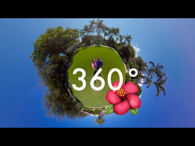 🦩 How to use 360° Video! 😍