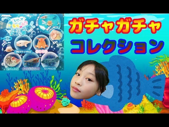 ぷにっとキモカワ深海魚！！
