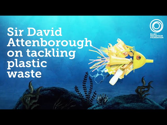 Solving Plastic Pollution | Narrated by Sir David Attenborough & Dame Ellen MacArthur