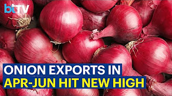 Onion Export Duty Surge Ignites Maharashtra Farmer Outrage and Government Action
