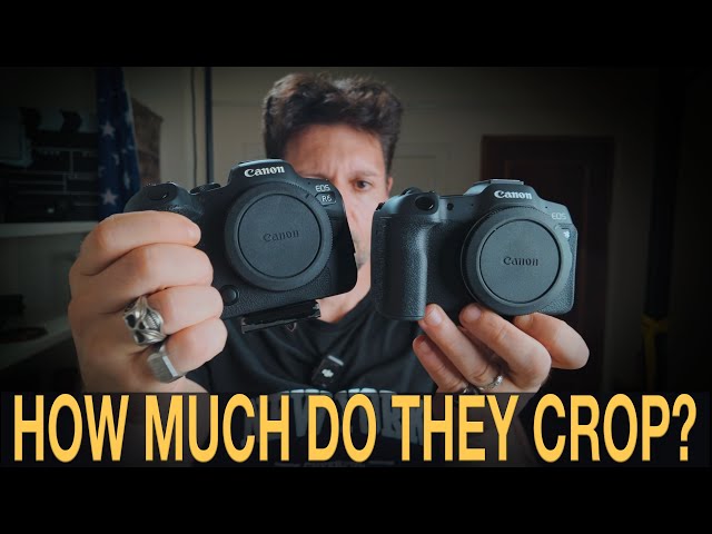 Canon R6, Canon R8 - How Much They Crop in 4K