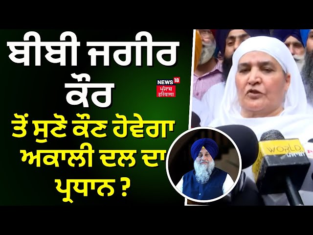 Bibi Jagir Kaur ਤੋਂ ਸੁਣੋ ਕੌਣ ਹੋਵੇਗਾ Akali Dal ਦਾ ਪ੍ਰਧਾਨ? |Sukhbir Badal | Punjab News | N18V