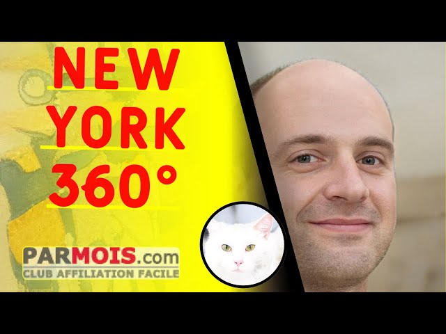NEW YORK 360°
