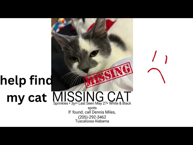help find my cat plz