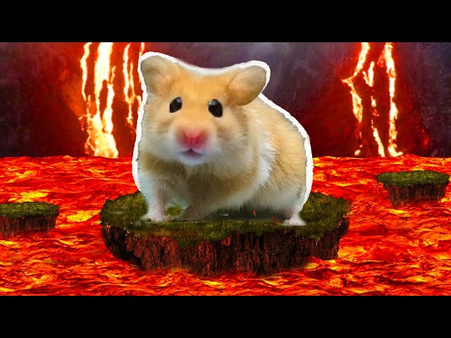 LAVA Floor With Hamster Obstacle Course Traps Maze in Hamster Stories