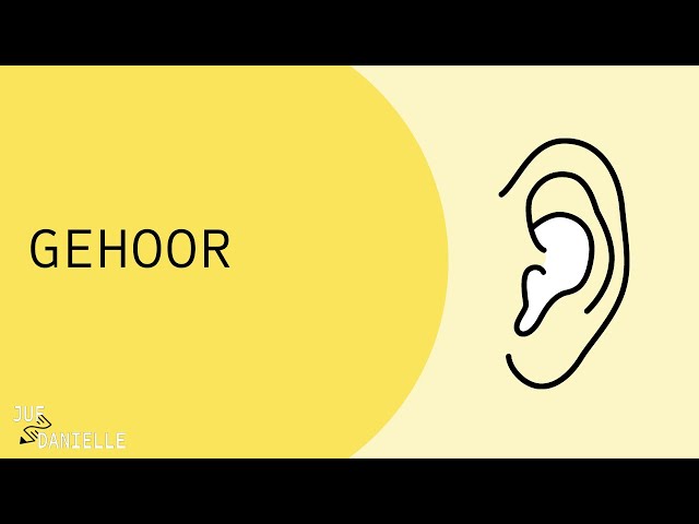 Gehoor: hoe werkt het oor?