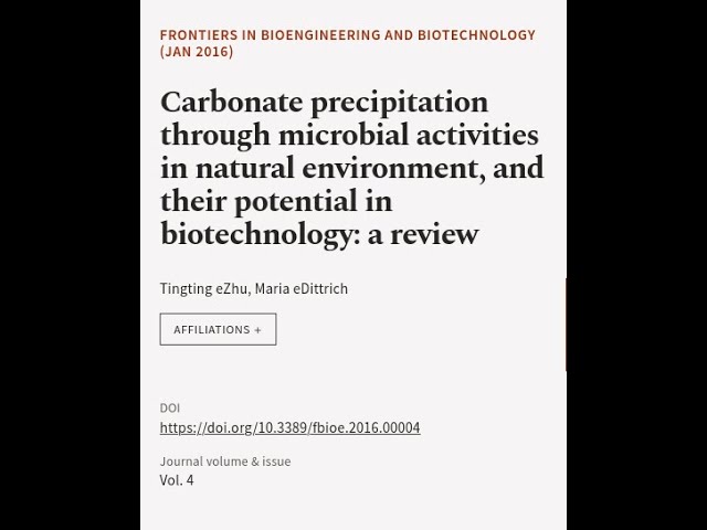 Carbonate precipitation through microbial activities in natural environment, and thei... | RTCL.TV