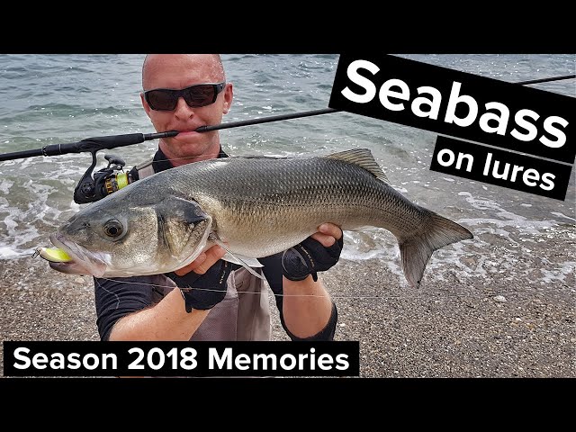 Sea Bass Fishing with Lures, Seabass Season Memories - Ireland (2019)