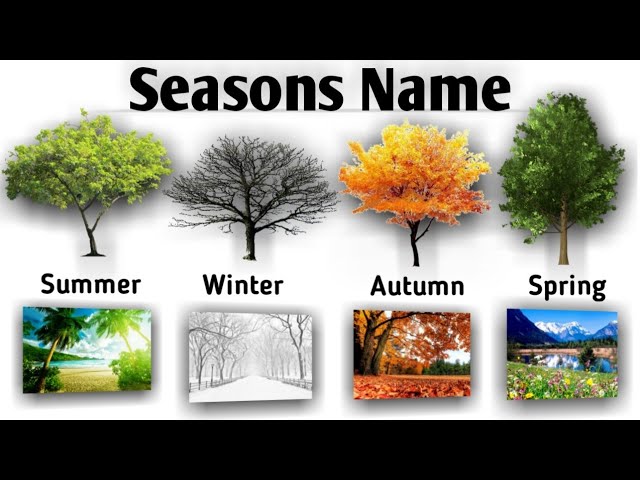 Learn Seasons Name | Seasons in the year | Four Seasons Name in English | English Learning