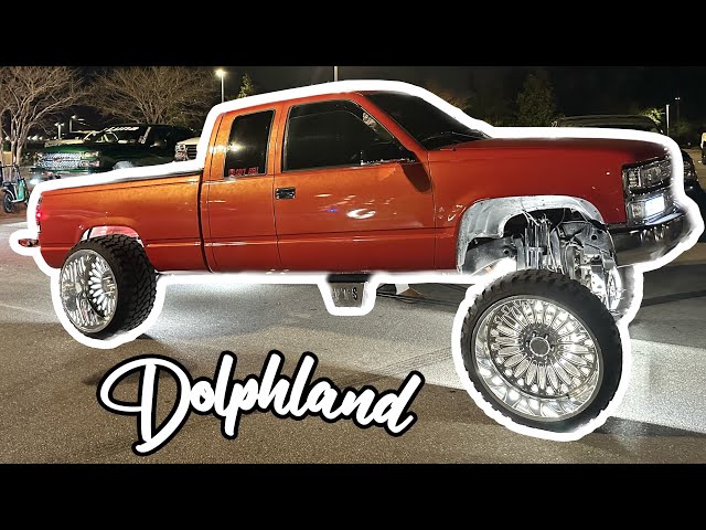We Went To The Dolphland Mega Meet!!