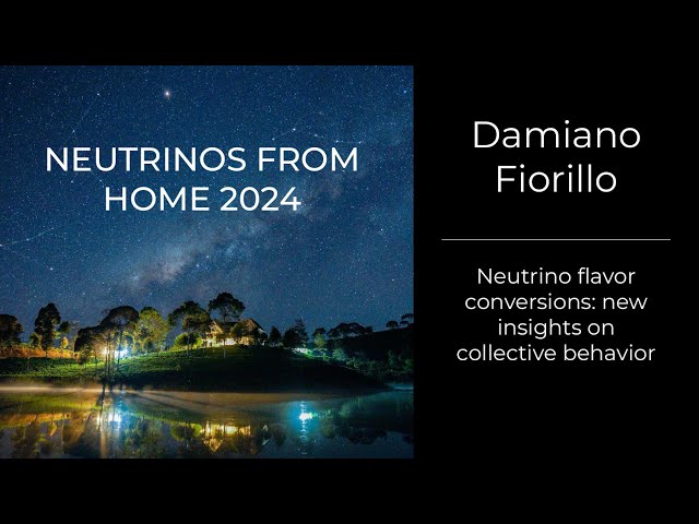 Neutrino flavor conversions: new insights on collective behavior - Damiano Fiorillo