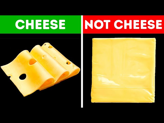Why Cheese Has Holes And 75 Other Why's You Forgot To Google