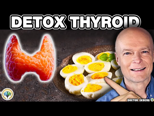 Top 10 SUPER FOODS That Can Heal Your THYROID