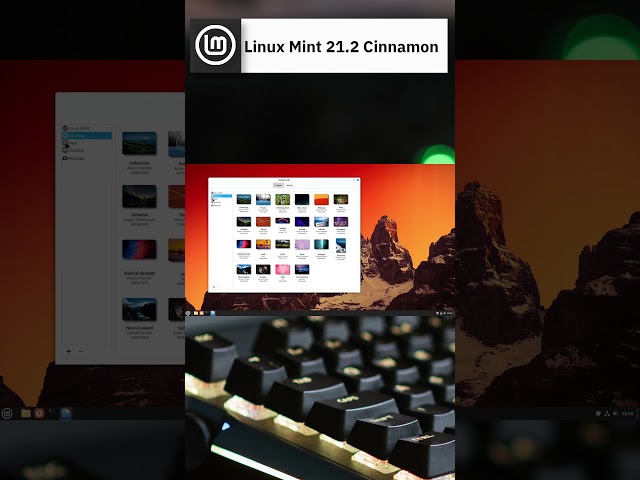 Linux Mint 21.2 "Victoria" Cinnamon Overview #shorts