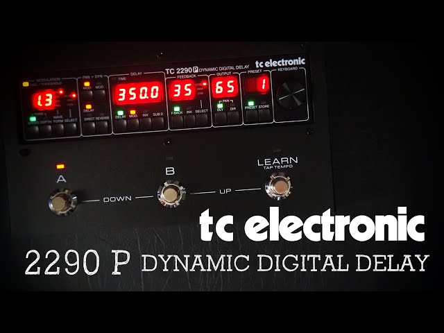 TC Electronic 2290 P Dynamic Digital Delay (Stereo)