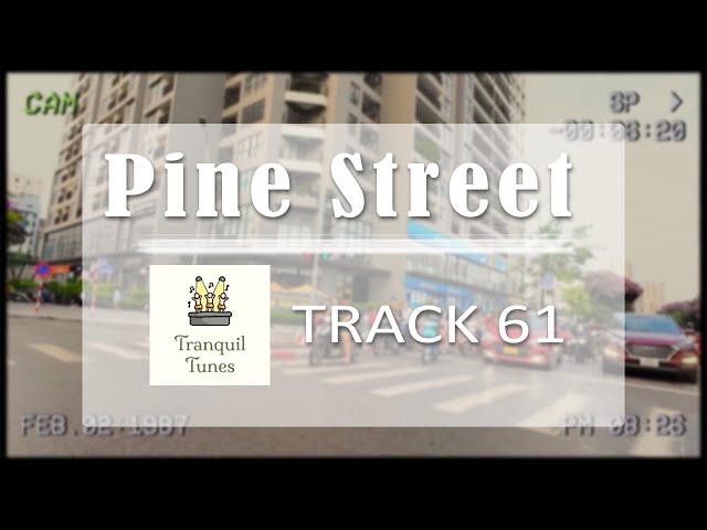Pine Street   # Catchy Soft Beats to Enhance Your Rhythm 💞 Track. 61