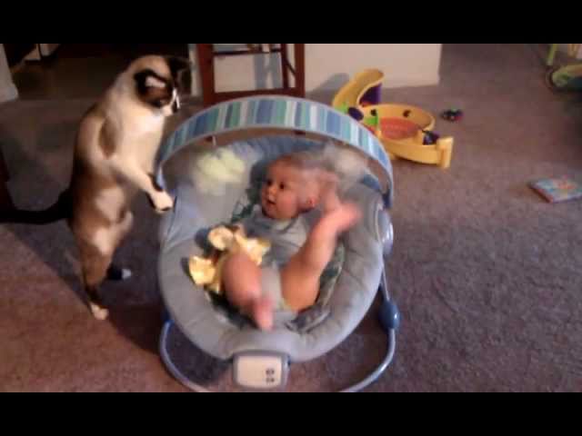 Baby laughs while cat plays with his toys