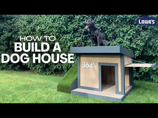 How to Build a Dog House