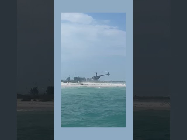 WATCH: Man lands helicopter on protected bird nests on Egmont Key