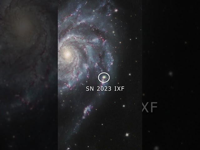 New Supernova Visible in a Galaxy far far away! (SN2023IXF, M101)