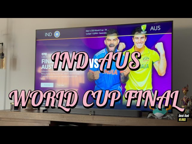 IND VS AUS World Cup Final | Indian House Party 🎉