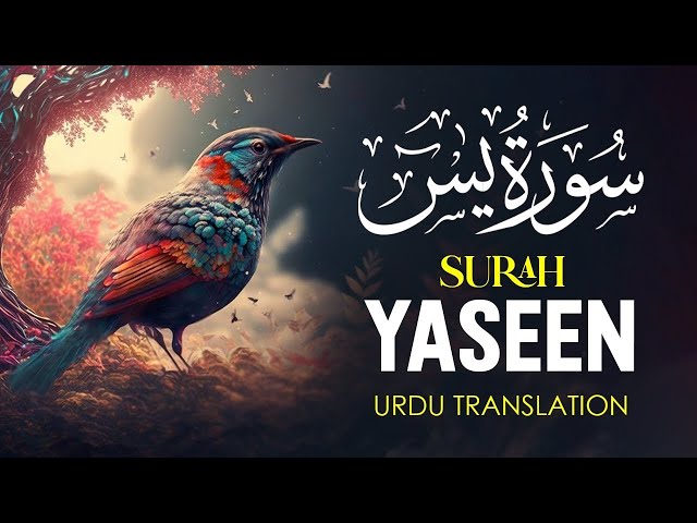 🔴 LIVE | Surah Yaseen | Surah Yasin |  Heart Touching Voice with Urdu Translation | @QuranPath.
