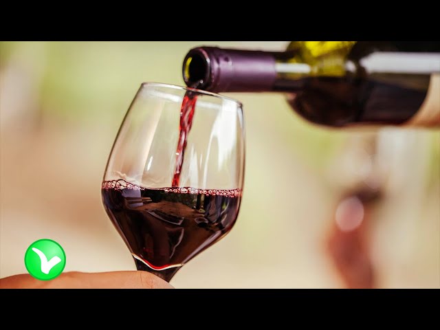 Что будет если регулярно пить вино? Польза и вред красного вина.