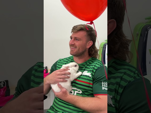 Happy Easter from the Rabbitohs 🐰