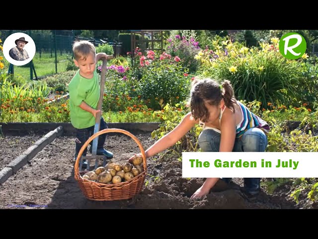 What to Do in the Garden in July: Tips and Best Practices